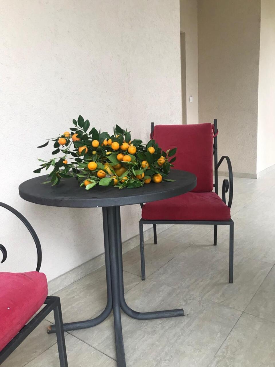 Studio Apartment Vukcevic พอดโกริกา ภายนอก รูปภาพ